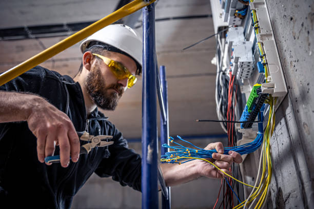 Best Electrical System Inspection  in Anna, IL